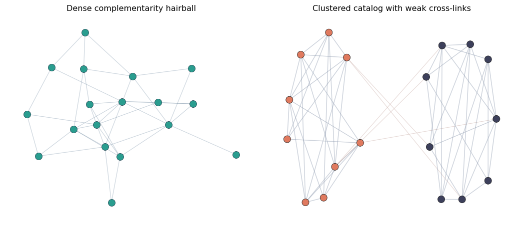 Two stylized complementarity structures. The left panel is a dense catalog-wide hairball; the right panel is a catalog with two internally dense clusters and relatively few cross-links.